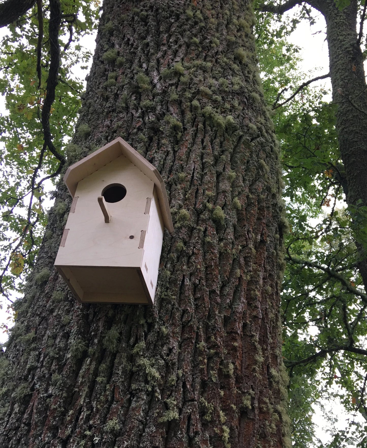 Birdhouse DXF file CNC-ready design showing joints and assembly features